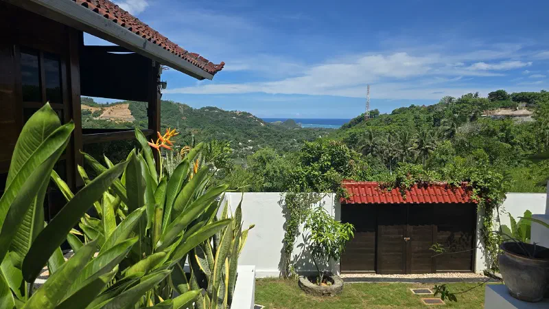 Garden view